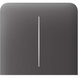 Боковая кнопка для двухклавишного выключателя Ajax SideButton (2-gang) vertical Grey (83438.143.GR) 000046487 фото