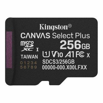 Карта памяти Kingston MicroSDXC 256GB UHS-I Class 10 (SDCS3/256GBSP) 000060179 фото