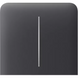 Боковая кнопка для двухклавишного выключателя Ajax SideButton (2-gang) vertical Graphite 000046486 фото